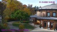 Archived image Webcam Maissau - Amethyst World 11:00
