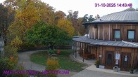 Archived image Webcam Maissau - Amethyst World 13:00