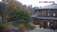 Archiv Foto Webcam Maissau - Amethyst Welt 15:00
