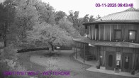 Archived image Webcam Maissau - Amethyst World 13:00