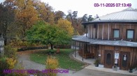 Archived image Webcam Maissau - Amethyst World 14:00