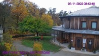 Archived image Webcam Maissau - Amethyst World 15:00