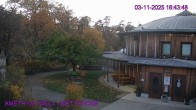 Archived image Webcam Maissau - Amethyst World 23:00