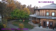 Archived image Webcam Maissau - Amethyst World 05:00