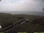 Archiv Foto Webcam Westerland auf Sylt: Restaurant Strandoase 13:00