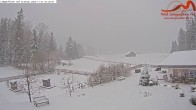 Archiv Foto Webcam Zugspitzdorf Grainau: Längenfelder Hof 01:00