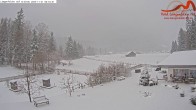 Archiv Foto Webcam Zugspitzdorf Grainau: Längenfelder Hof 02:00