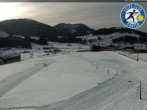 Archiv Foto Webcam Gonten bei Appenzell 11:00