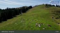 Archiv Foto Webcam Flying Cam: Wildschönau von oben 08:00