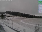 Archiv Foto Webcam DSV Nordic Aktivzentrum Waldmünchen-Althütte - Osten 09:00