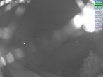 Archiv Foto Webcam DSV Nordic Aktivzentrum Waldmünchen-Althütte - Osten 23:00