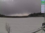 Archiv Foto Webcam Naturpark Oberer Bayerischer Wald - Infopunkt Althütte 07:00