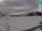 Archiv Foto Webcam Naturpark Oberer Bayerischer Wald - Infopunkt Althütte 09:00