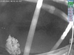 Archiv Foto Webcam Naturpark Oberer Bayerischer Wald - Infopunkt Althütte 23:00