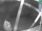 Archiv Foto Webcam Naturpark Oberer Bayerischer Wald - Infopunkt Althütte 01:00