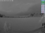 Archiv Foto Webcam Naturpark Oberer Bayerischer Wald - Infopunkt Althütte 03:00