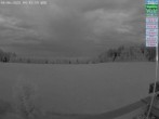 Archiv Foto Webcam Naturpark Oberer Bayerischer Wald - Infopunkt Althütte 03:00