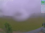Archiv Foto Webcam Naturpark Oberer Bayerischer Wald - Infopunkt Althütte 11:00