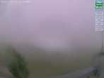 Archiv Foto Webcam Naturpark Oberer Bayerischer Wald - Infopunkt Althütte 05:00