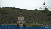 Archiv Foto Webcam Radebeul - Schloss Wackerbarth 08:00