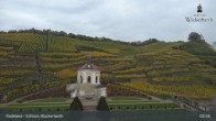 Archiv Foto Webcam Radebeul - Schloss Wackerbarth 08:00