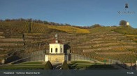 Archiv Foto Webcam Radebeul - Schloss Wackerbarth 14:00