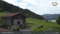 Archiv Foto Webcam Wildschönau - Freizeitpark Drachental 10:00