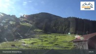 Archiv Foto Webcam Wildschönau - Freizeitpark Drachental 08:00