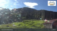 Archiv Foto Webcam Wildschönau - Freizeitpark Drachental 08:00