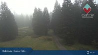 Archived image Webcam Bodenmais - Shelter Chamer Hut 06:00