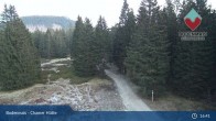 Archived image Webcam Bodenmais - Shelter Chamer Hut 00:00