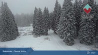 Archiv Foto Webcam Bodenmais - Schutzhütte Kl. Arber/Chamer Hütte 12:00