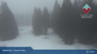 Archiv Foto Webcam Bodenmais - Schutzhütte Kl. Arber/Chamer Hütte 08:00