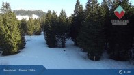 Archived image Webcam Bodenmais - Shelter Chamer Hut 14:00