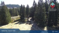 Archiv Foto Webcam Bodenmais - Schutzhütte Kl. Arber/Chamer Hütte 10:00