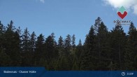 Archiv Foto Webcam Bodenmais - Schutzhütte Kl. Arber/Chamer Hütte 10:00