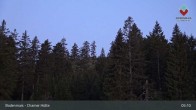 Archiv Foto Webcam Bodenmais - Schutzhütte Kl. Arber/Chamer Hütte 04:00