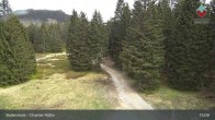 Archiv Foto Webcam Bodenmais - Schutzhütte Kl. Arber/Chamer Hütte 14:00