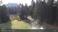 Archived image Webcam Bodenmais - Shelter Chamer Hut 07:00