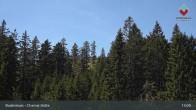 Archived image Webcam Bodenmais - Shelter Chamer Hut 12:00