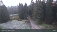 Archiv Foto Webcam Bodenmais - Schutzhütte Kl. Arber/Chamer Hütte 04:00