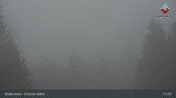 Archived image Webcam Bodenmais - Shelter Chamer Hut 10:00