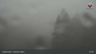 Archived image Webcam Bodenmais - Shelter Chamer Hut 12:00