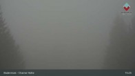 Archived image Webcam Bodenmais - Shelter Chamer Hut 14:00