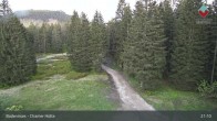 Archiv Foto Webcam Bodenmais - Schutzhütte Kl. Arber/Chamer Hütte 02:00