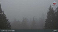 Archiv Foto Webcam Bodenmais - Schutzhütte Kl. Arber/Chamer Hütte 08:00