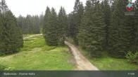 Archiv Foto Webcam Bodenmais - Schutzhütte Kl. Arber/Chamer Hütte 10:00