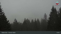 Archiv Foto Webcam Bodenmais - Schutzhütte Kl. Arber/Chamer Hütte 12:00