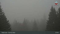 Archiv Foto Webcam Bodenmais - Schutzhütte Kl. Arber/Chamer Hütte 06:00