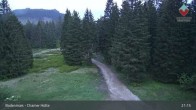 Archiv Foto Webcam Bodenmais - Schutzhütte Kl. Arber/Chamer Hütte 00:00